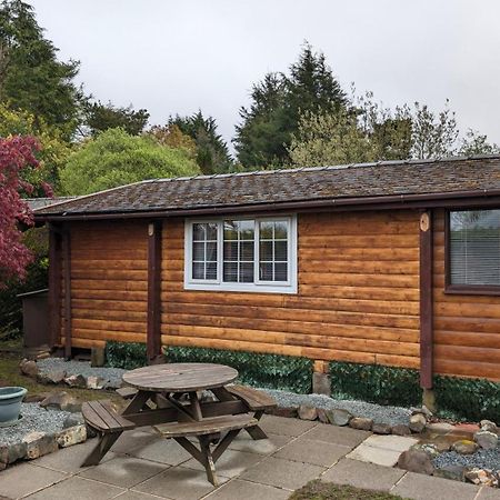 Вилла Snowdonia Log Cabin 2 Trawsfynydd Экстерьер фото